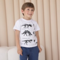 Детская футболка для мальчика FT-24-11