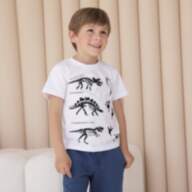 Детская футболка для мальчика FT-24-11 - Детская футболка для мальчика FT-24-11
