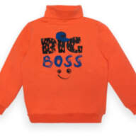 Детский свитер для мальчика SV-22-2-10 *Big boss*