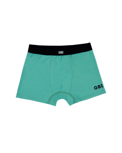 Подростковые трусы-шорты GBI Teens SHTM-25-1 (2 шт.) оливковые - фото №1 | Детская одежда ТМ GABBI