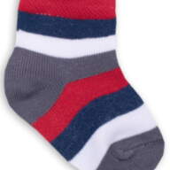 Дитячі шкарпетки для хлопчика NSM-90 демісезонні - Детские носки для мальчика NSM-90 демисезонные