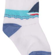 Дитячі шкарпетки для хлопчика NSM-12 демісезонні - Детские носки для мальчика NSM-12 демисезонные
