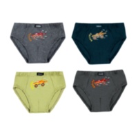 Дитячі труси для хлопчика TRM-25-6 (4 шт.)