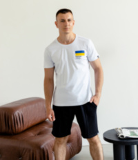 Чоловіча футболка *Pantone Ukraine*