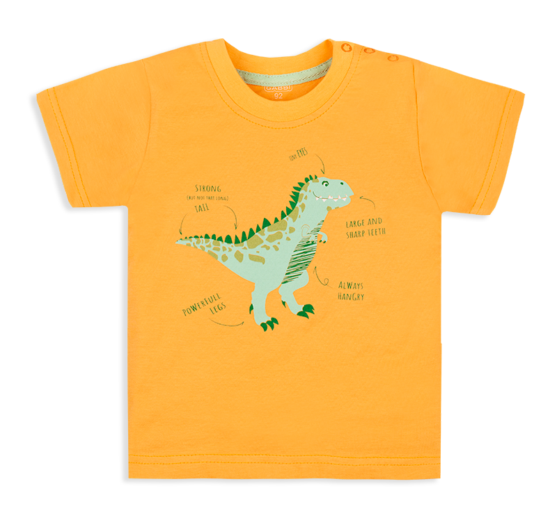 Дитяча футболка для хлопчика FT-20-13-3 *Технозавр*