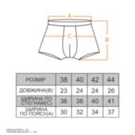 Підліткові труси-шорти для хлопчика SHMT-24-1 GBI Teens (комплект 2 шт.) - Підліткові труси-шорти для хлопчика SHMT-24-1 GBI Teens (комплект 2 шт.)
