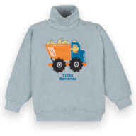 Дитячий светр для хлопчика SV-20-21-2 *Зооленд* - Детский свитер для мальчика SV-20-21-2 *Зооленд*