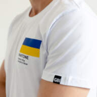 Мужская футболка *Pantone Ukraine*