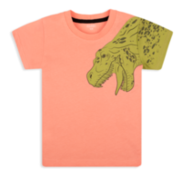 Детская футболка для мальчика FT-20-15-1 *Чувачки*