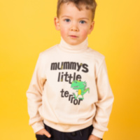 Детский свитер для мальчика SV-20-23-1 *Зубастики*