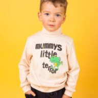 Детский свитер для мальчика SV-20-23-1 *Зубастики* - Дитячий светр для хлопчика SV-20-23-1 *Зубастики*