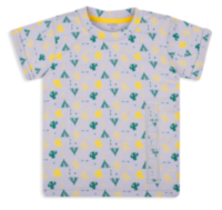 Детская футболка для мальчика FT-20-15-5 *Чувачки*