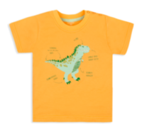 Детская футболка для мальчика FT-20-13-3 *Технозавр*