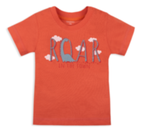 Детская футболка для мальчика FT-20-13-1 *Технозавр*