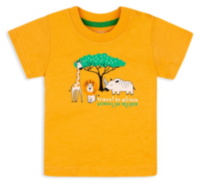 Детская футболка для мальчика FT-20-11 *Африка*