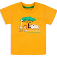 Детская футболка для мальчика FT-20-11 *Африка* - Детская футболка для мальчика FT-20-11 *Африка*