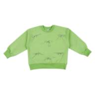 Детский свитшот для девочки DG-26-2 - Детский свитшот для девочки DG-26-2