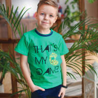 Детская футболка для мальчика FT-19-17-2 *Техно*  - Детская футболка для мальчика FT-19-17-2 *Техно*