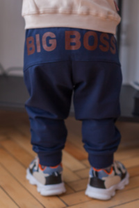 Детские брюки для мальчика BR-20-21-1 *Зооленд*